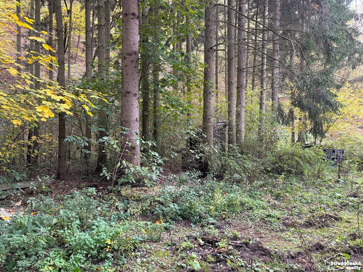 Prodej lesa 2074 m²
